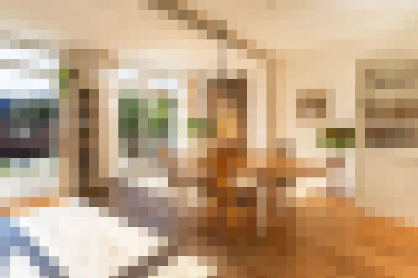 Meerlaan 102 Hillegom thumbnail 20