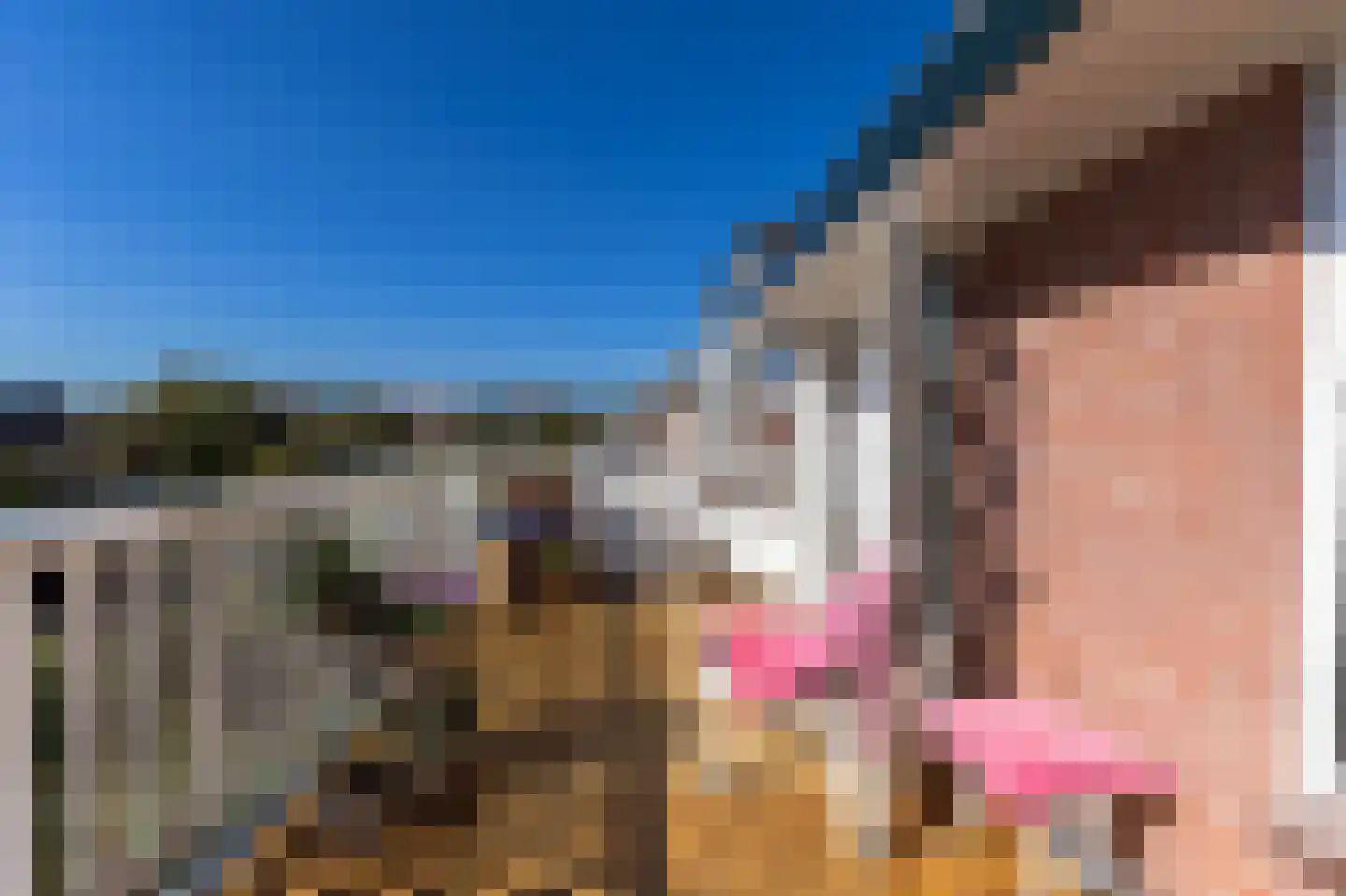 Meerlaan 102 Hillegom thumbnail 27
