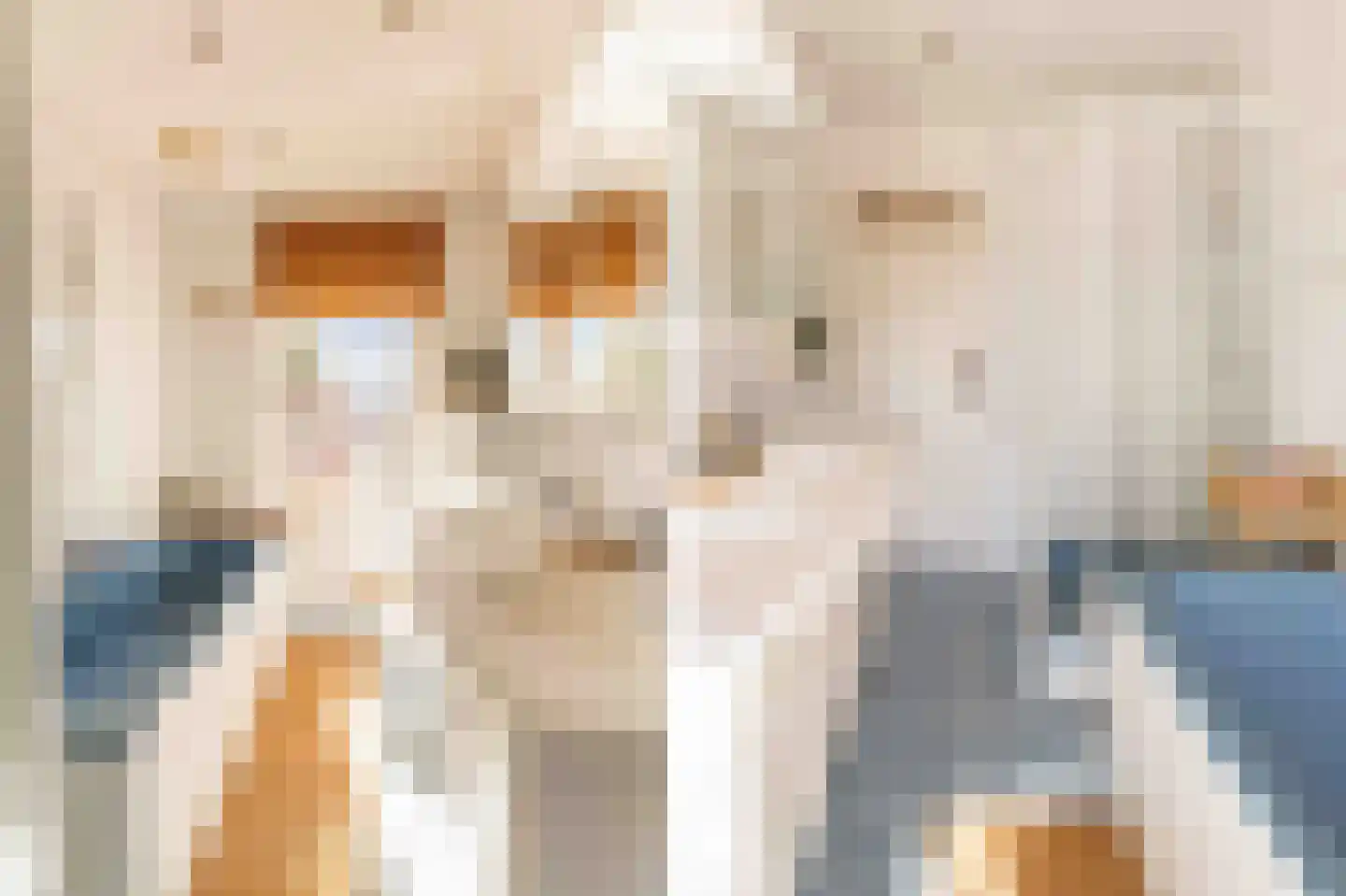 Meerlaan 102 Hillegom thumbnail 31