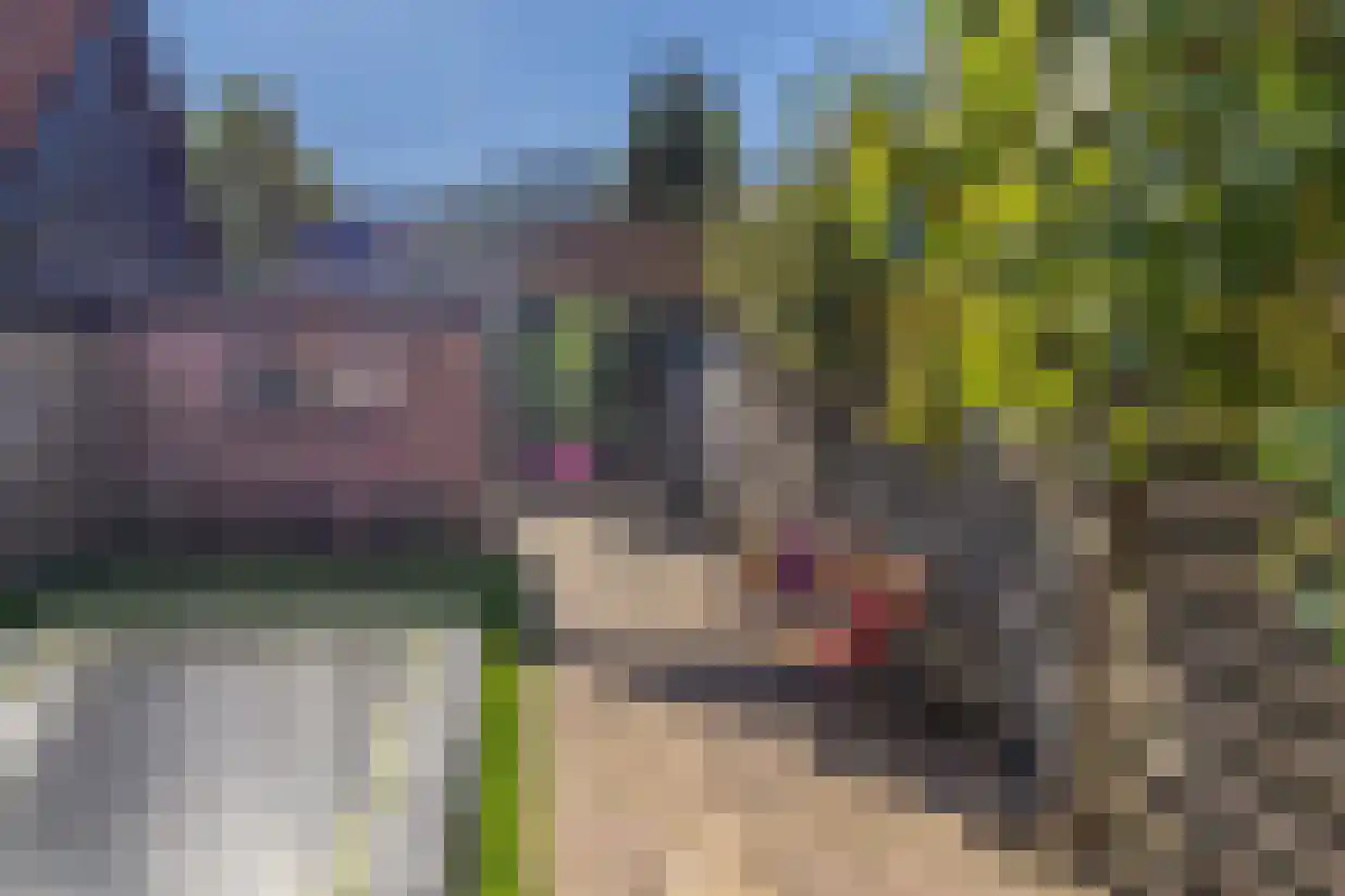 Meerlaan 102 Hillegom thumbnail 38