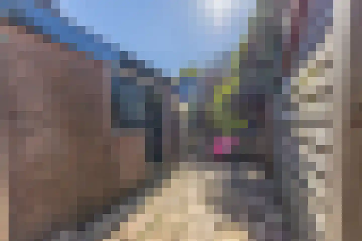 Meerlaan 102 Hillegom thumbnail 45
