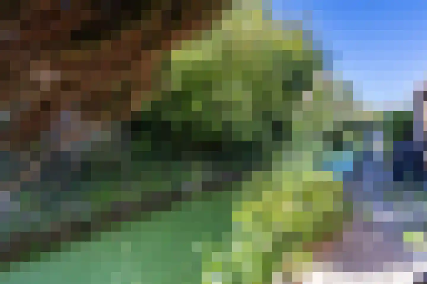 Meerlaan 102 Hillegom thumbnail 46