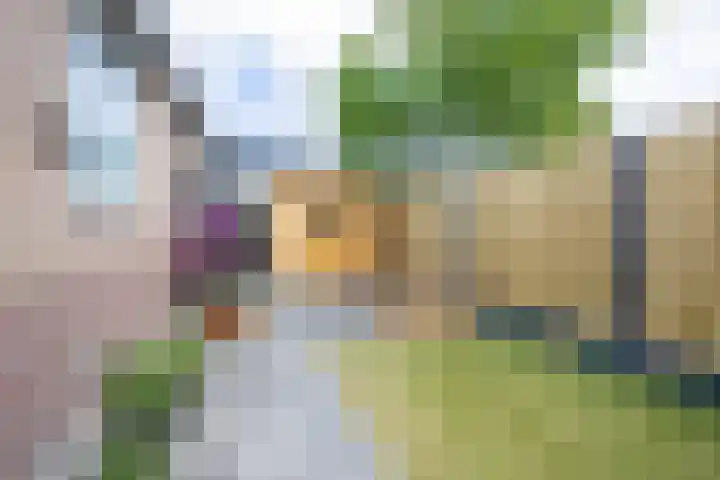 Meerlaan 107 Hillegom thumbnail 19
