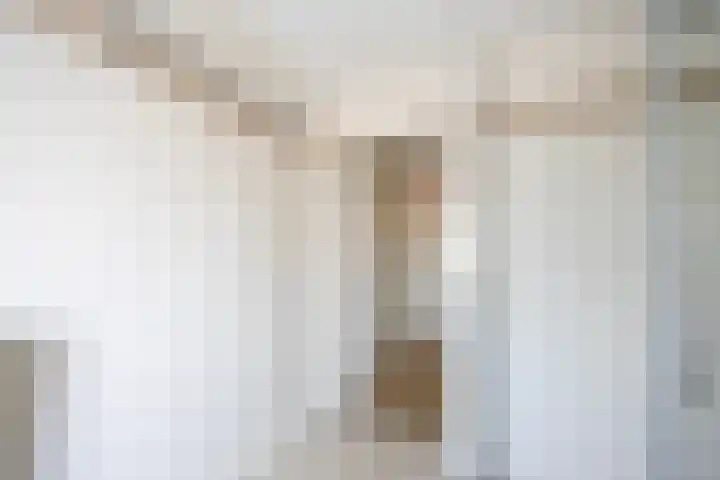 Meerlaan 107 Hillegom thumbnail 28
