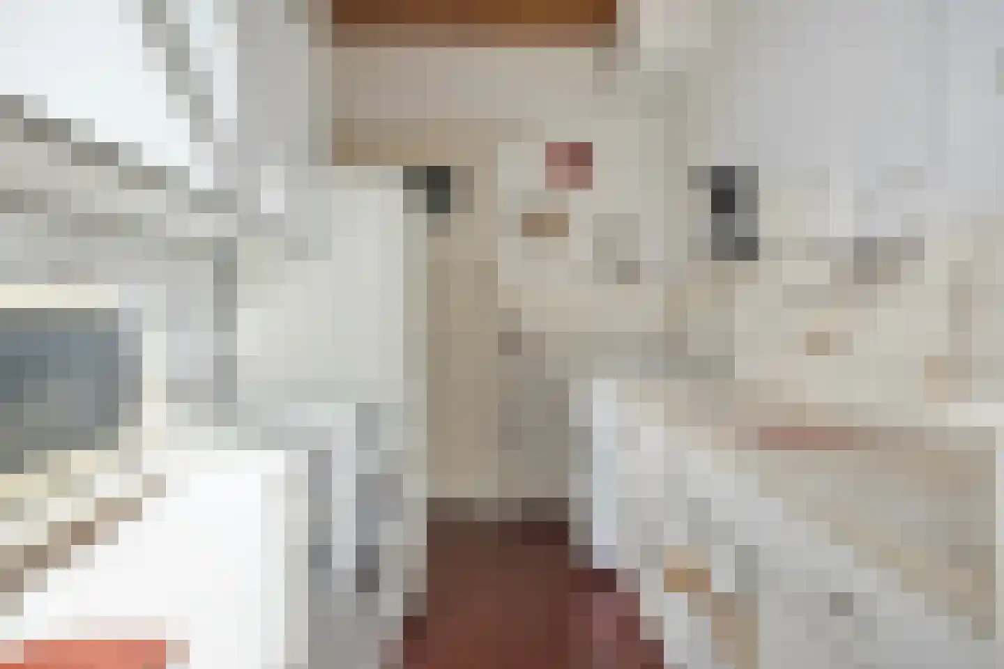 Meerlaan 114 Hillegom thumbnail 15