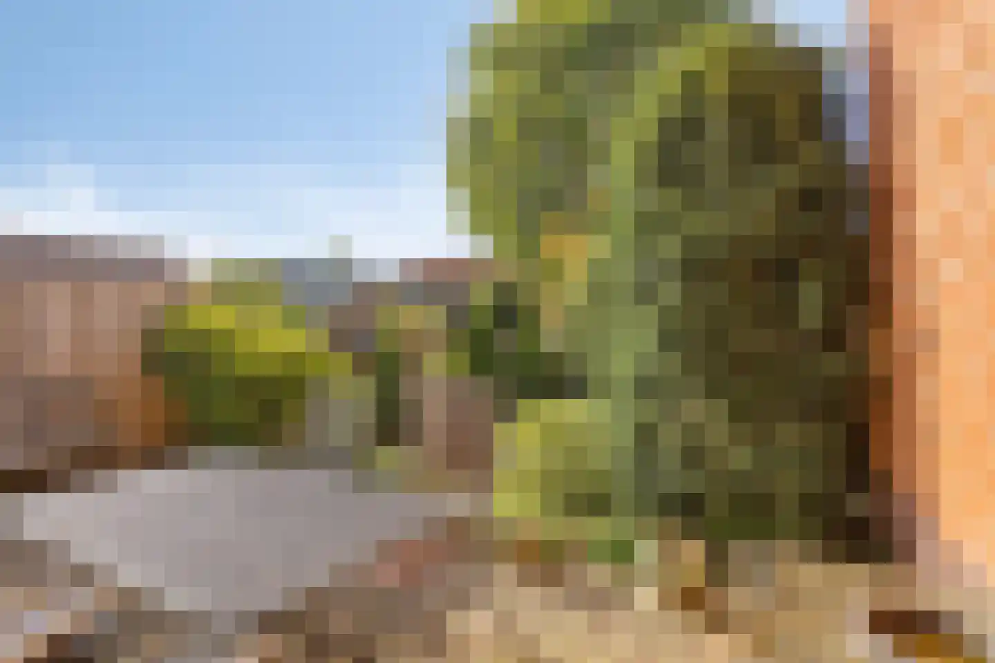 Meerlaan 114 Hillegom thumbnail 29