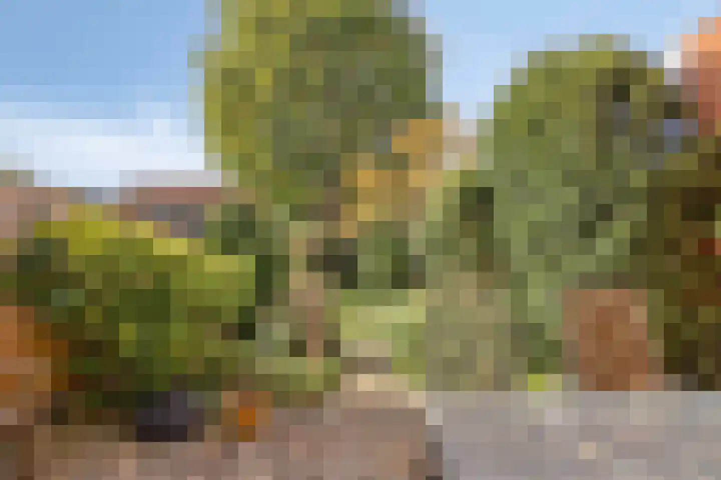Meerlaan 114 Hillegom thumbnail 30