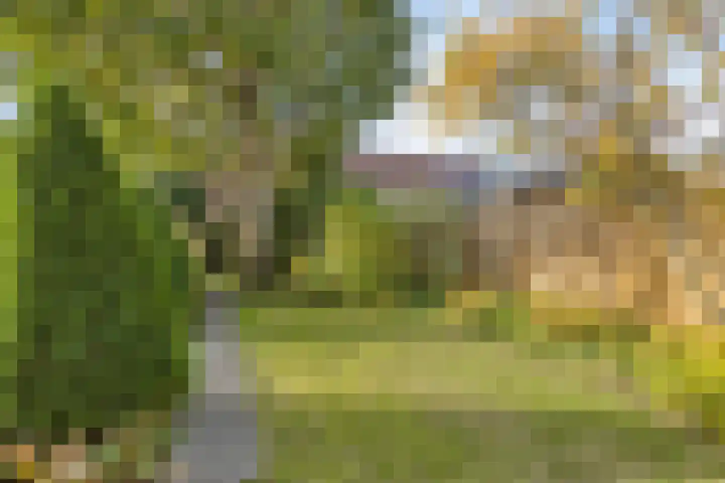 Meerlaan 114 Hillegom thumbnail 31