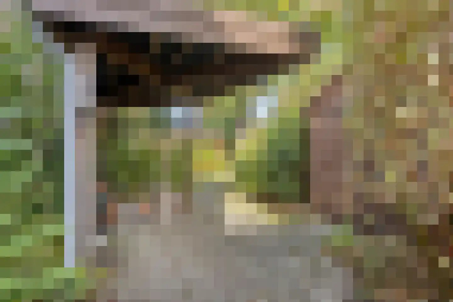 Meerlaan 114 Hillegom thumbnail 32