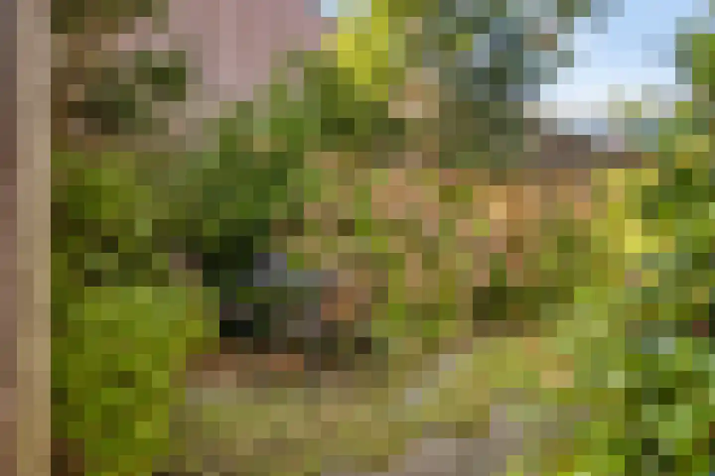 Meerlaan 114 Hillegom thumbnail 7