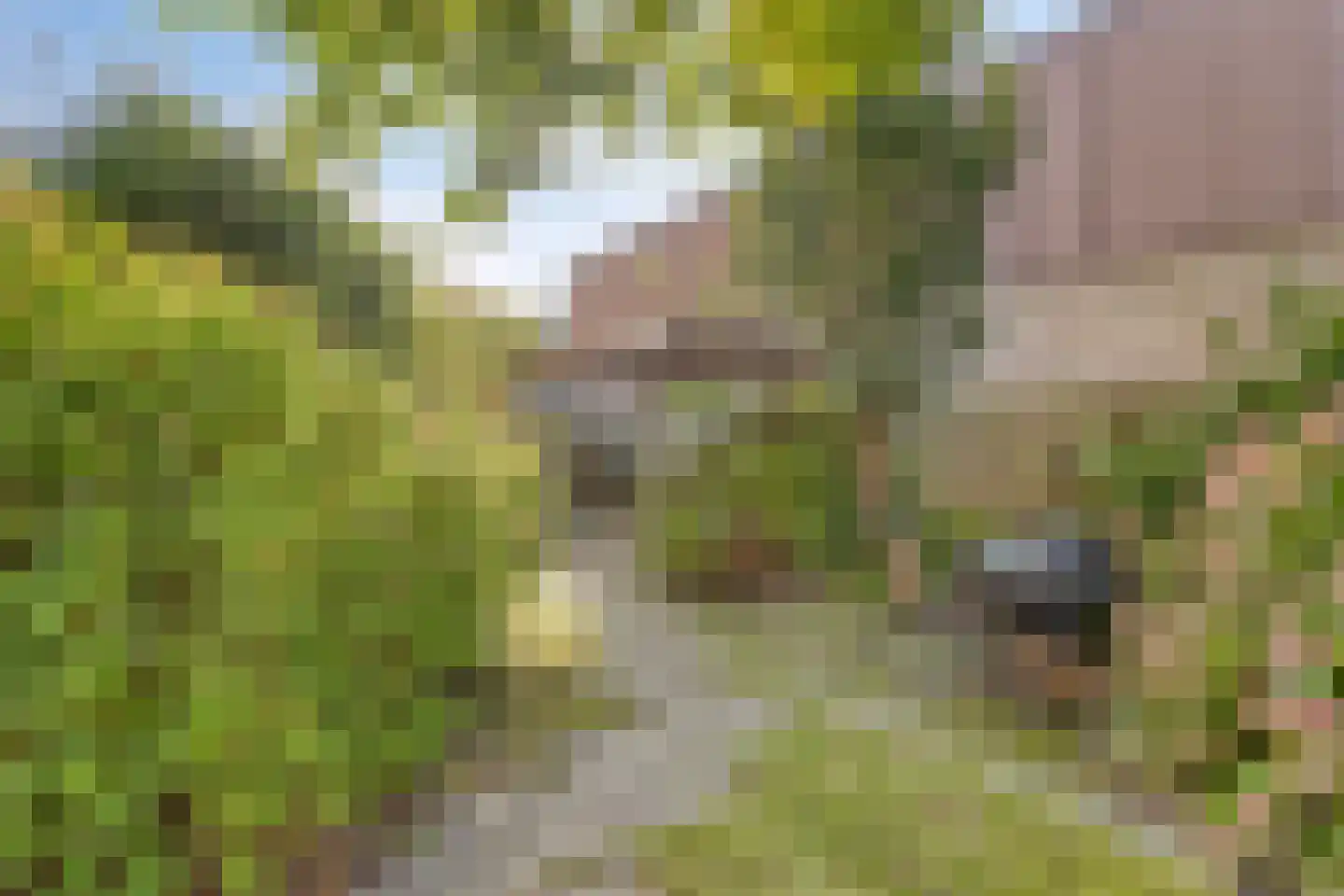 Meerlaan 114 Hillegom thumbnail 8