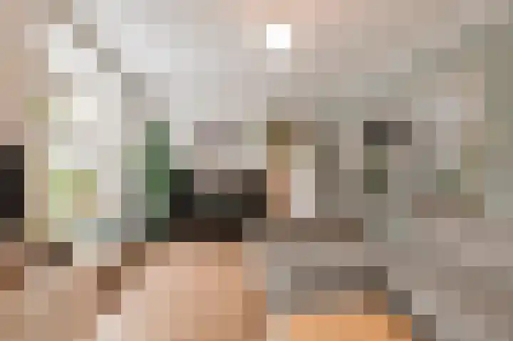 Meerlaan 13 Culemborg thumbnail 11