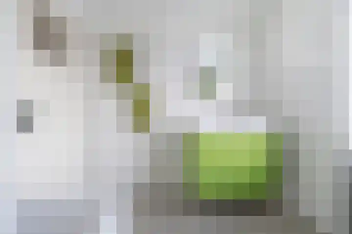 Meerlaan 13 Culemborg thumbnail 29