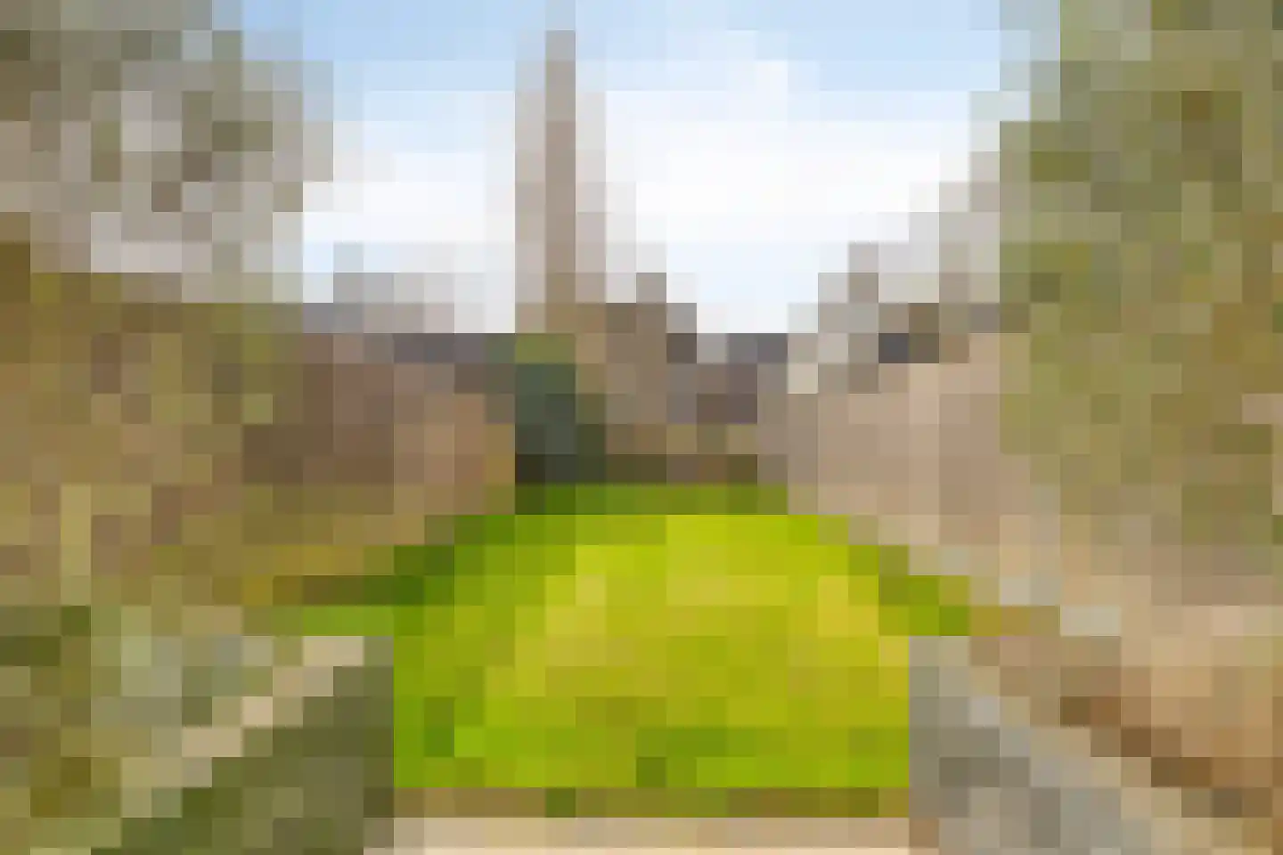Meerlaan 160 Hillegom thumbnail 33