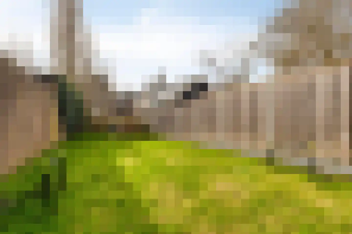 Meerlaan 160 Hillegom thumbnail 34