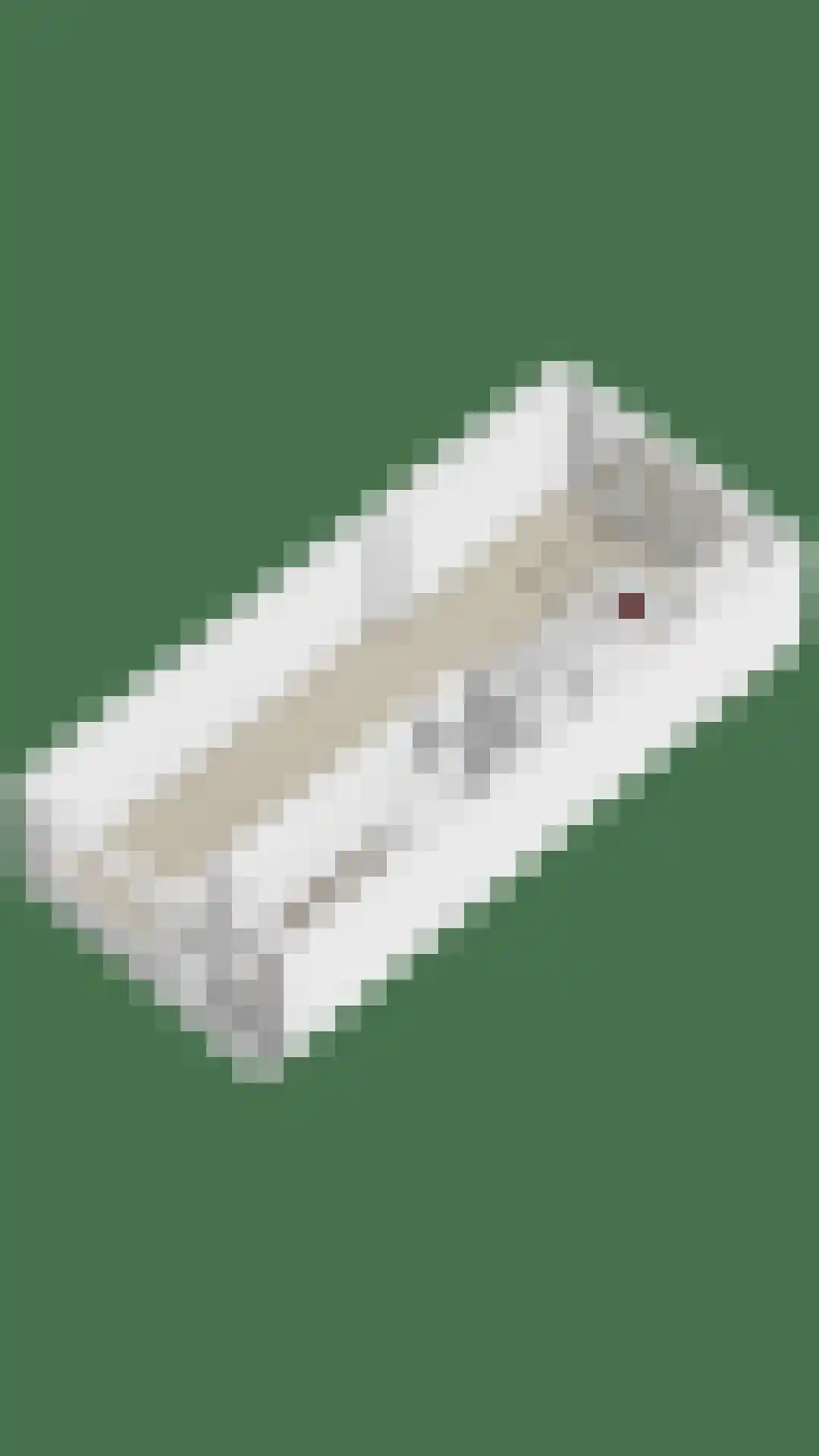 Meerlaan 160 Hillegom thumbnail 40