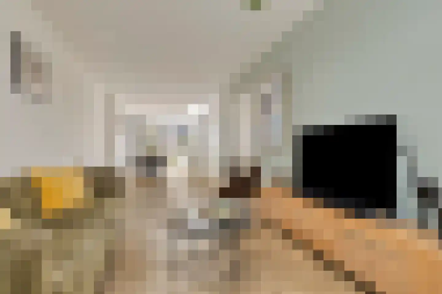 Meerlaan 160 Hillegom thumbnail 5