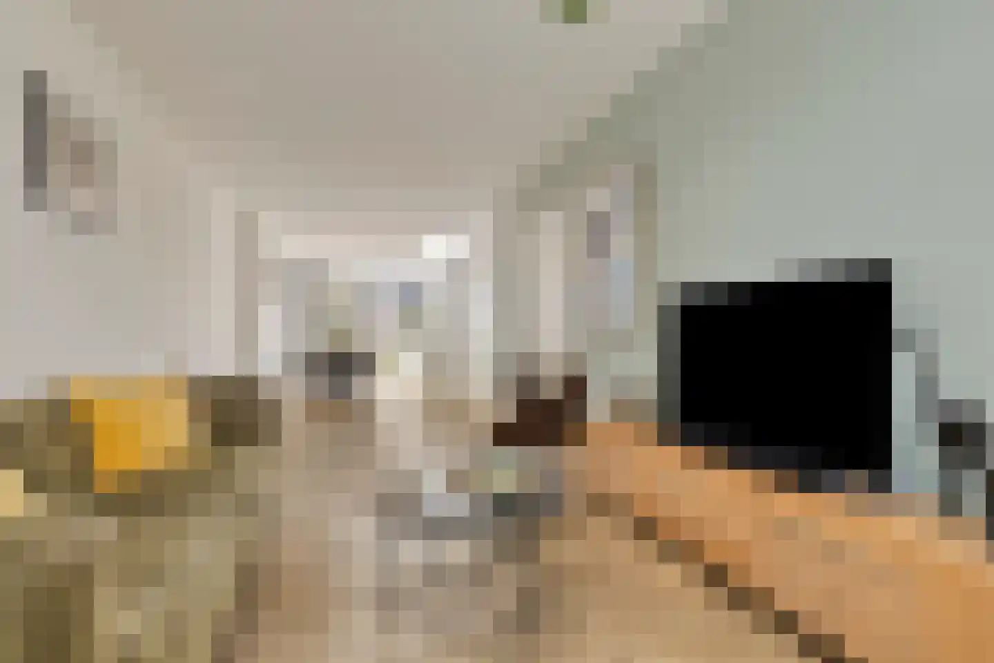 Meerlaan 160 Hillegom thumbnail 5