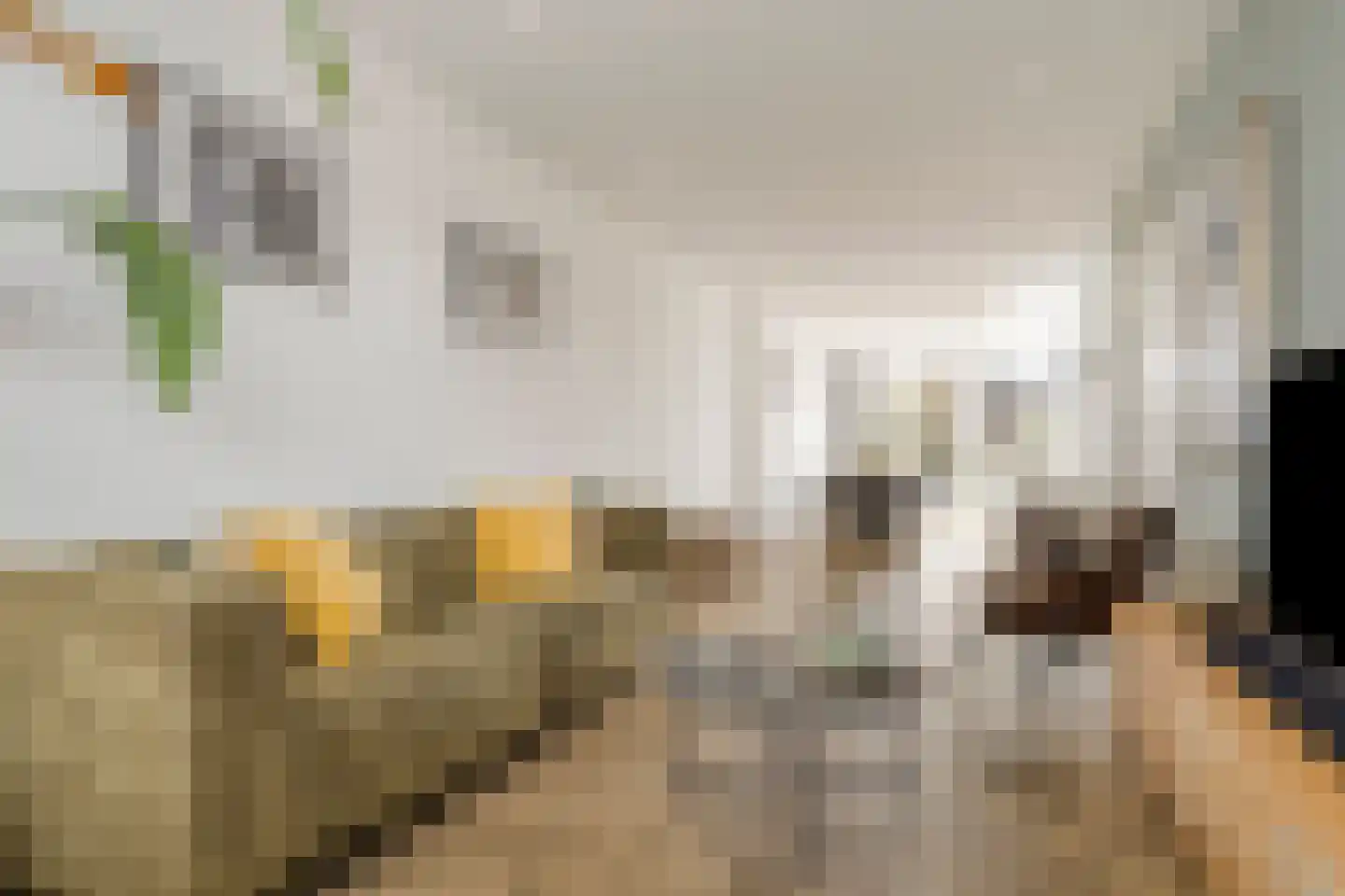 Meerlaan 160 Hillegom thumbnail 8