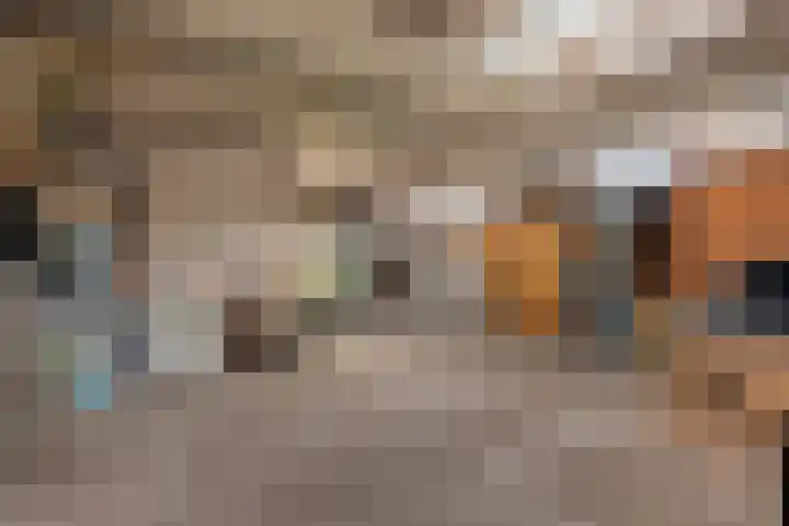 Meerlaan 162 Hillegom thumbnail 10