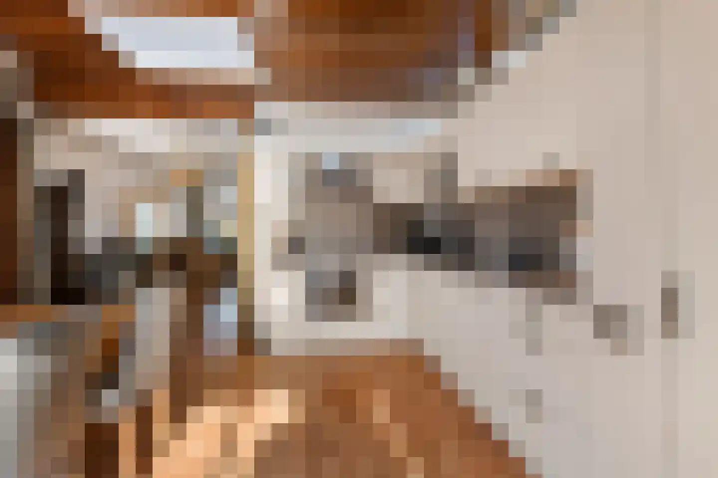 Meerlaan 162 Hillegom thumbnail 12