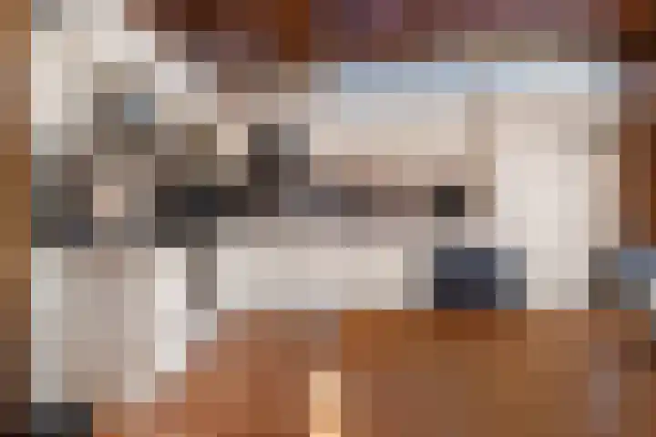 Meerlaan 162 Hillegom thumbnail 14