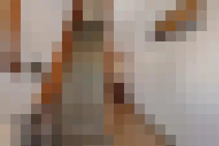 Meerlaan 162 Hillegom thumbnail 21