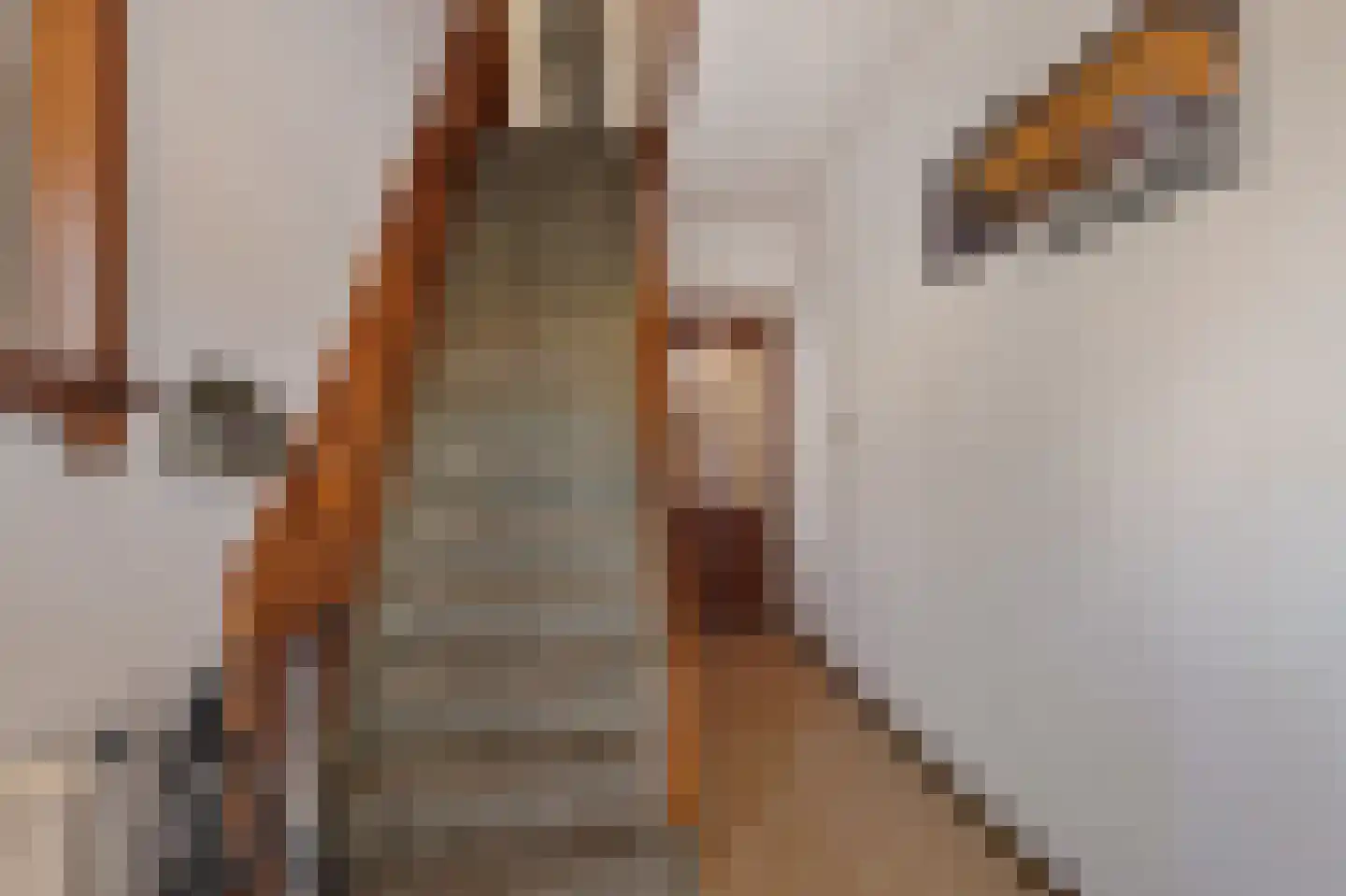 Meerlaan 162 Hillegom thumbnail 21