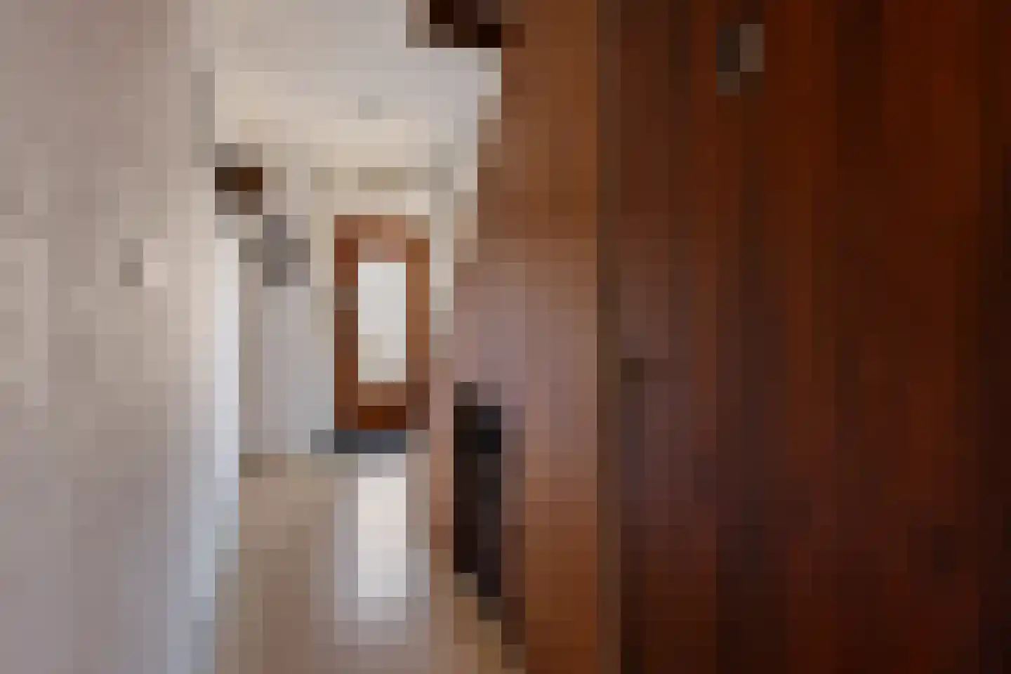 Meerlaan 162 Hillegom thumbnail 22