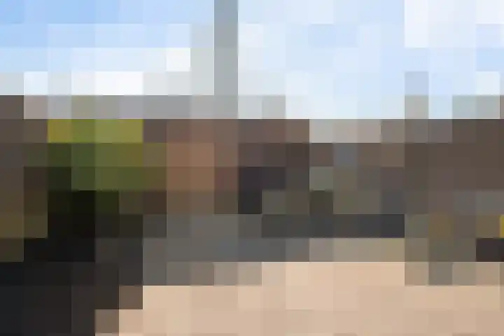 Meerlaan 162 Hillegom thumbnail 7
