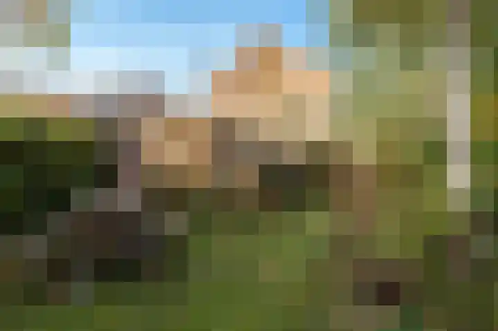 Meerlaan 19 Culemborg thumbnail 16