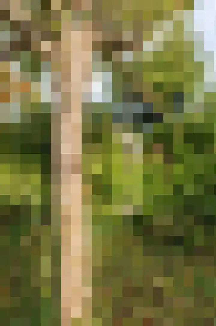 Meerlaan 19 Culemborg thumbnail 18