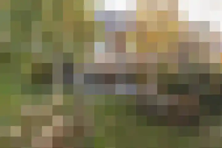Meerlaan 19 Culemborg thumbnail 19