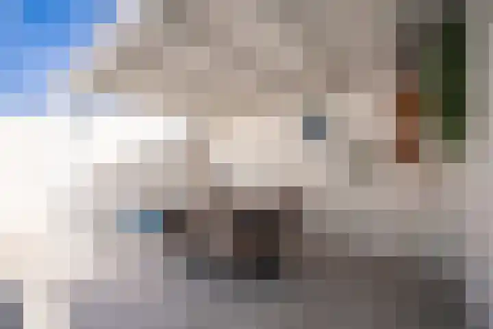 Meerlaan 219 Hillegom thumbnail 13
