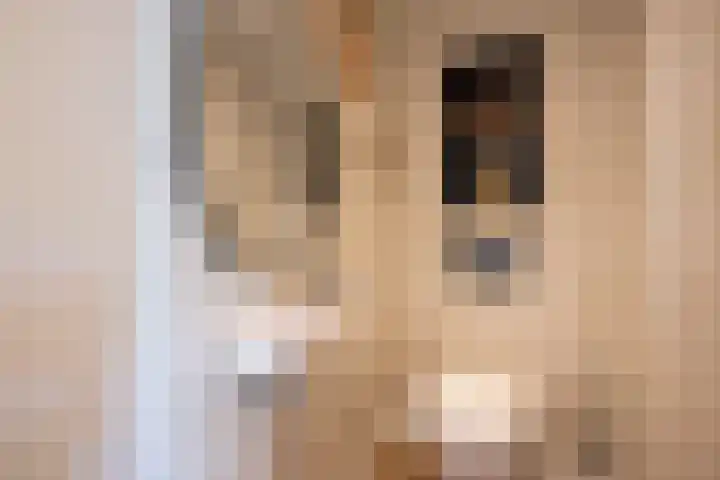 Meerlaan 219 Hillegom thumbnail 27