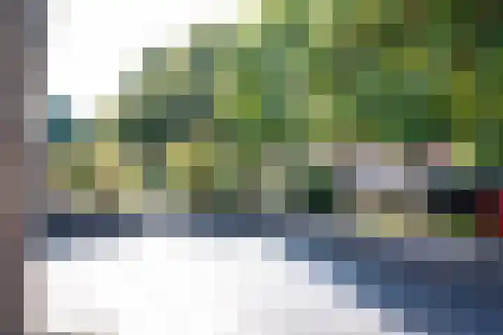 Meerlaan 219 Hillegom thumbnail 33