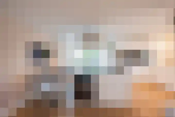 Meerlaan 219 Hillegom thumbnail 7