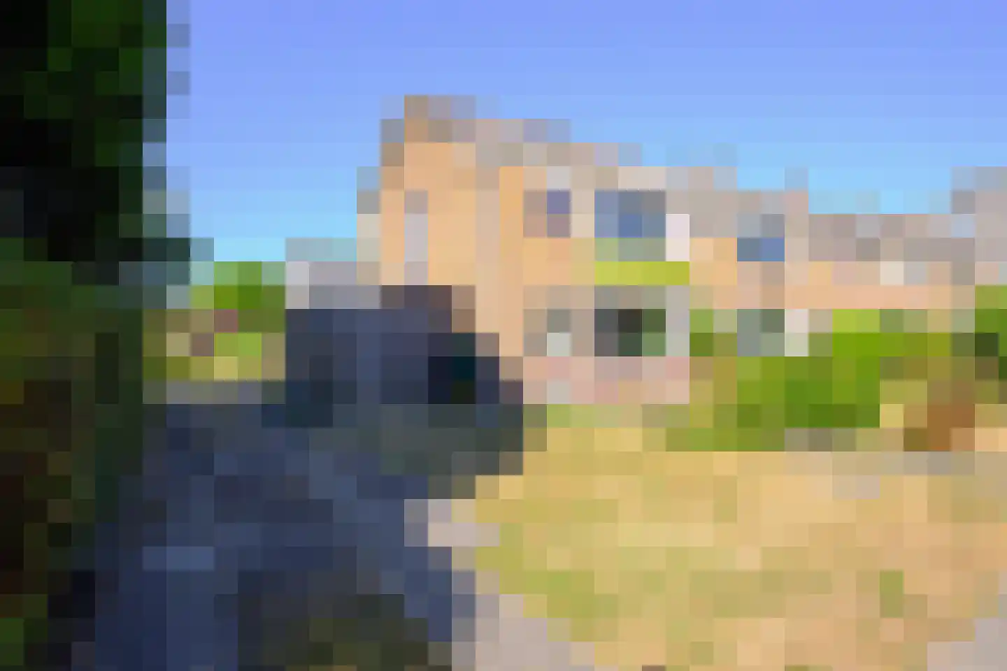 Meerlaan 23 Medemblik thumbnail 29