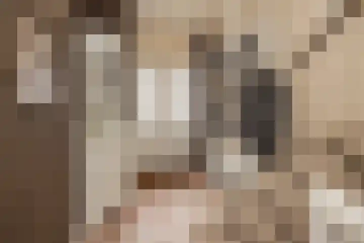 Meerlaan 255 Hillegom thumbnail 14