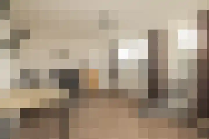 Meerlaan 255 Hillegom thumbnail 19