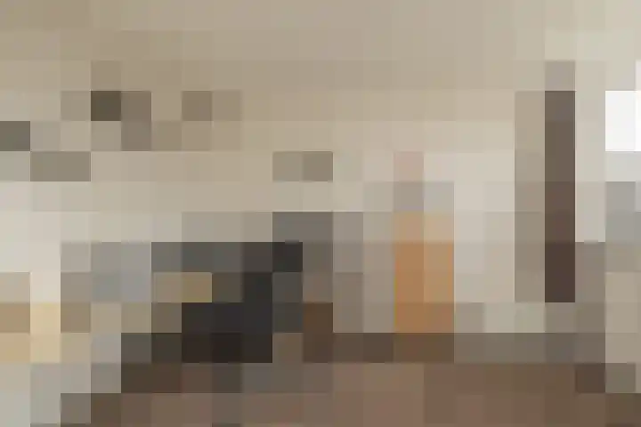 Meerlaan 255 Hillegom thumbnail 20