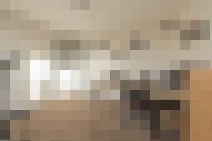 Meerlaan 255 Hillegom thumbnail 21