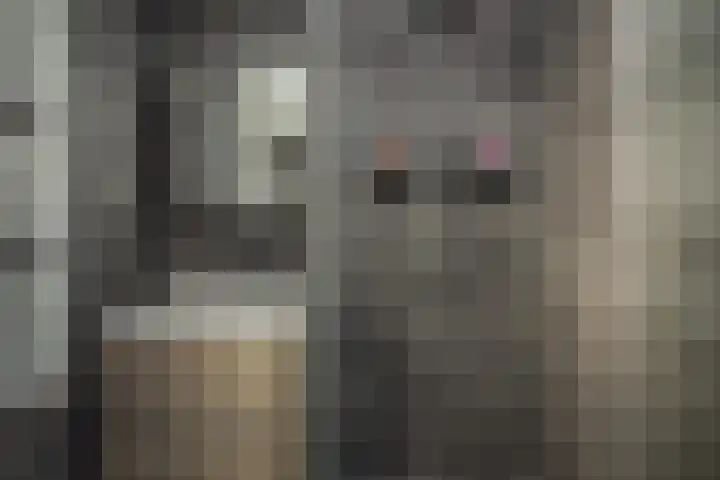 Meerlaan 255 Hillegom thumbnail 25