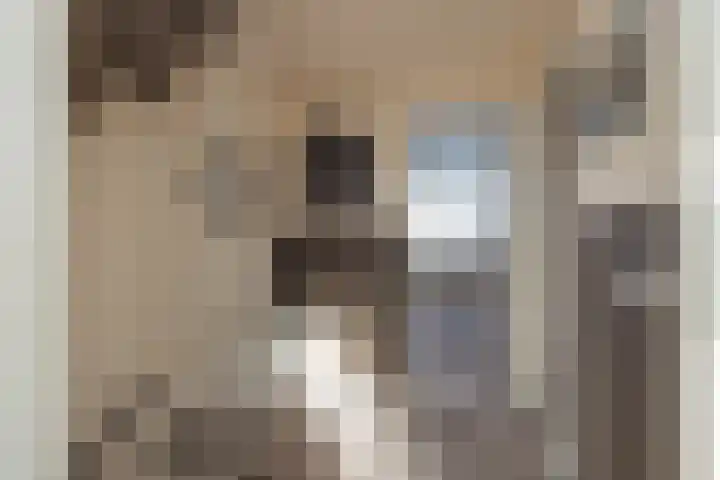 Meerlaan 255 Hillegom thumbnail 27