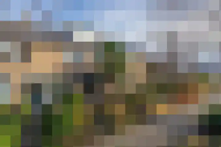 Meerlaan 255 Hillegom thumbnail 37