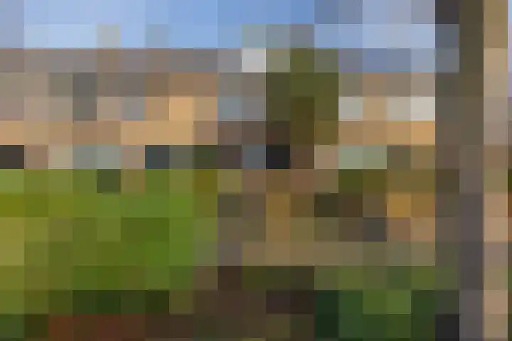 Meerlaan 255 Hillegom thumbnail 38