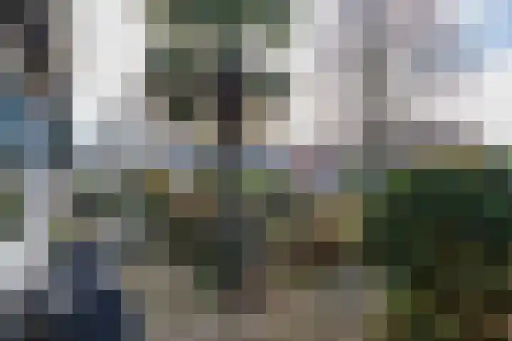 Meerlaan 255 Hillegom thumbnail 39
