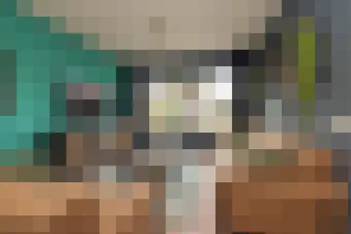 Meerlaan 255 Hillegom thumbnail 4