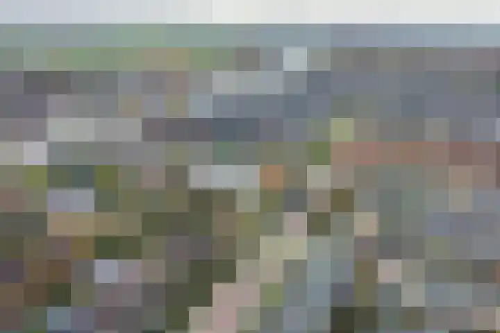 Meerlaan 255 Hillegom thumbnail 42