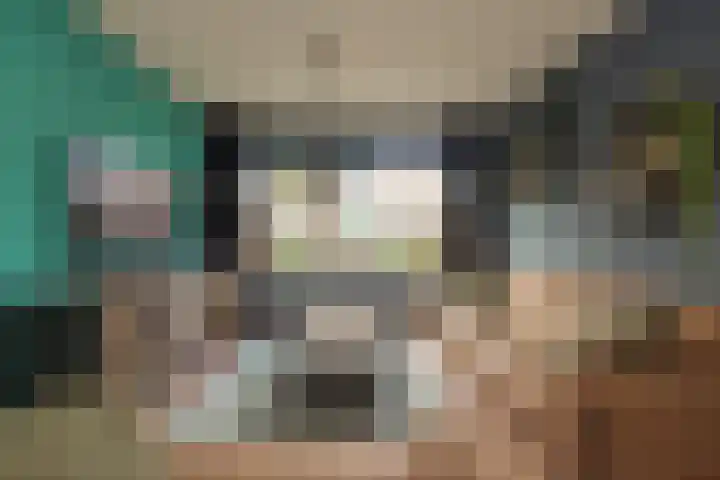 Meerlaan 255 Hillegom thumbnail 5